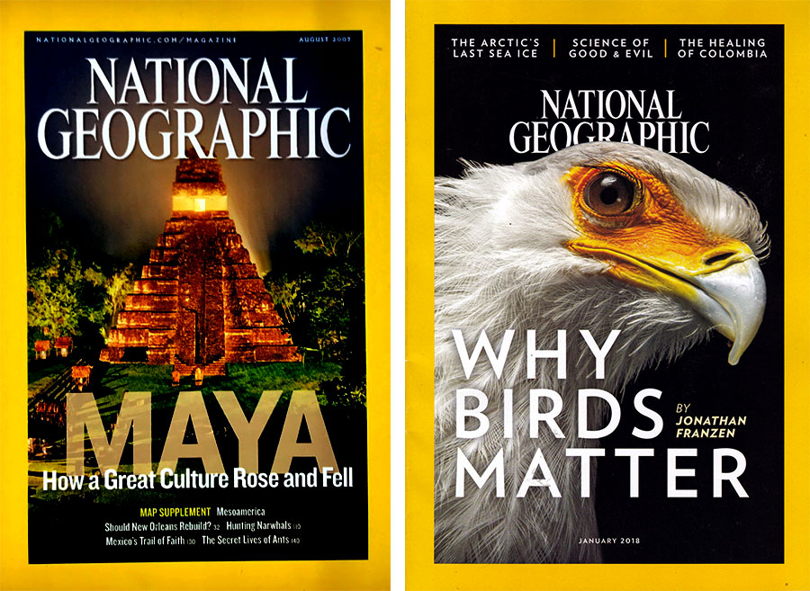 知名好看的時尚雜志